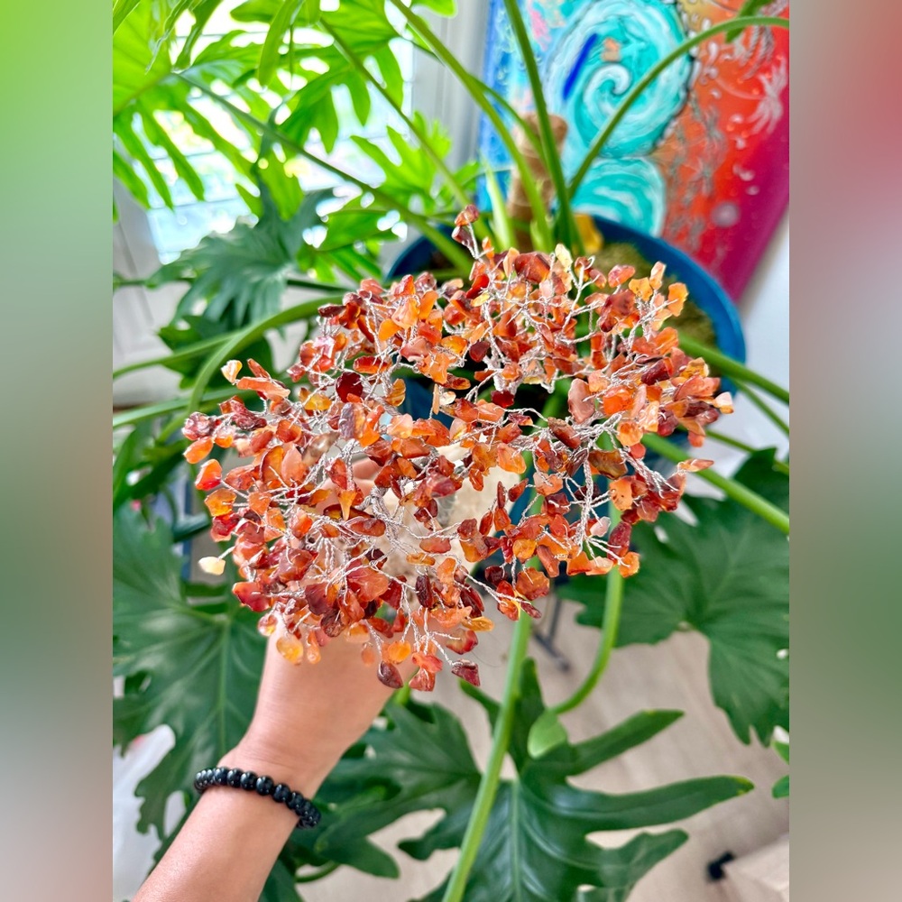Carnelian Tree - Picture 6 of 6